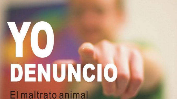 denuncia el maltrato online