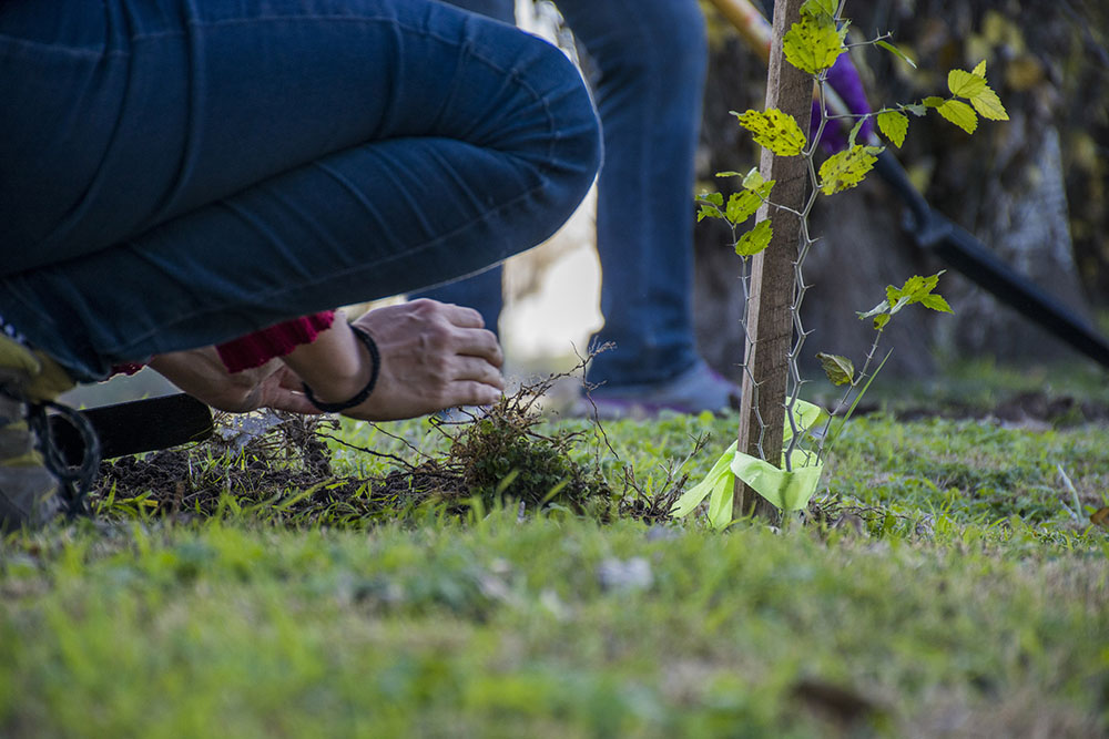 La Ciudad propone una rica agenda de actividades para concientizar sobre el cuidado del planeta