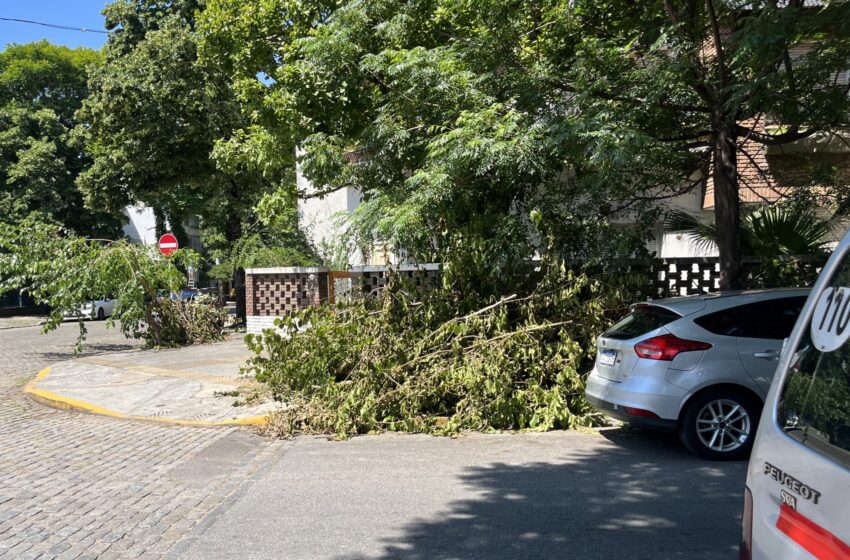  La comuna 11 sigue afectada por el pasado temporal