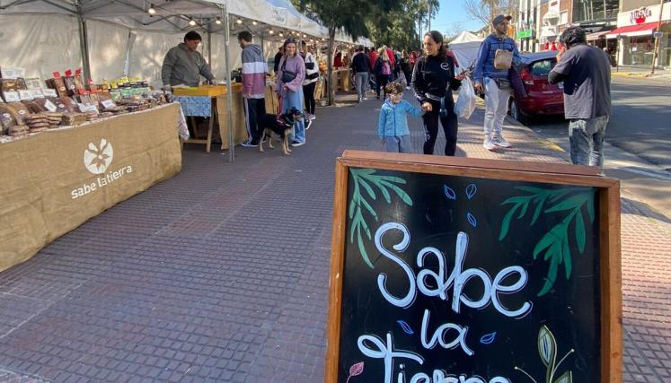  Alimentos saludables y diseño sustentable en la Plaza Arenales