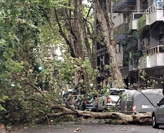 Villa Luro: Una antena de 20 metros colapsó y causó graves daños