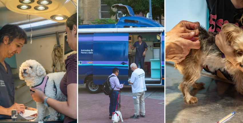  Vacunación antirrábica sin turno en Plaza Aristóbulo del Valle