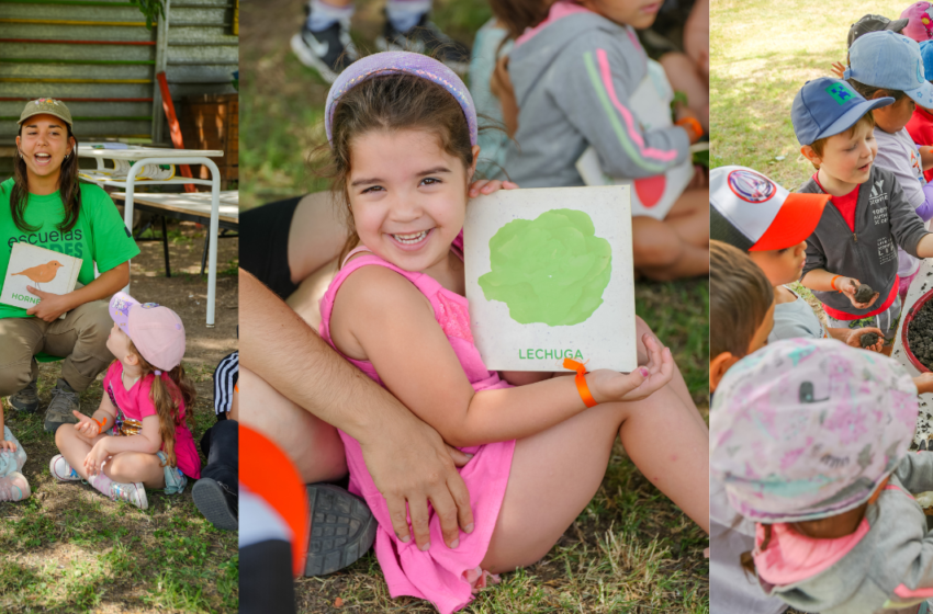  Huertas escolares para aprender a cuidar el ambiente desde chicos